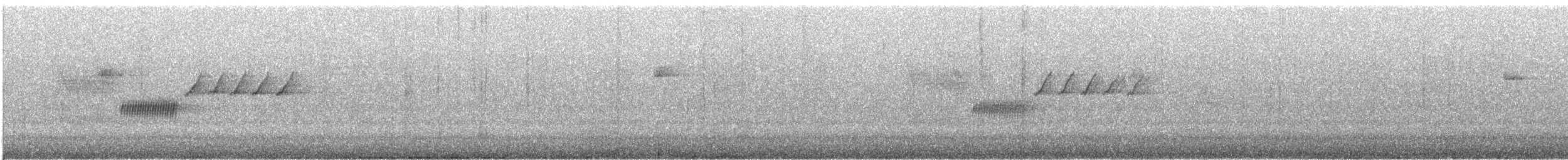 Bewick's Wren - ML640137567