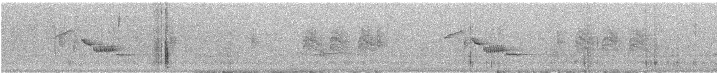 Bewick's Wren - ML640137649