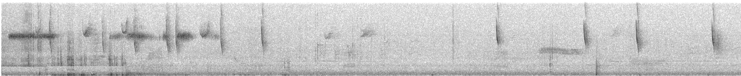 Broad-tailed Hummingbird - ML640137668