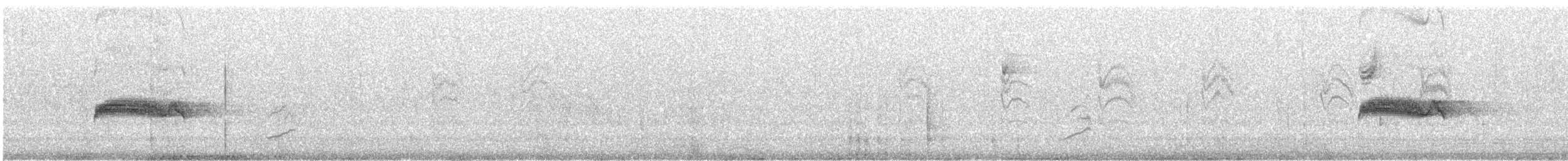 Western Wood-Pewee - ML640137683
