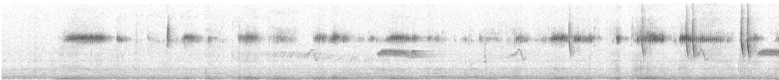 Broad-tailed Hummingbird - ML640137702