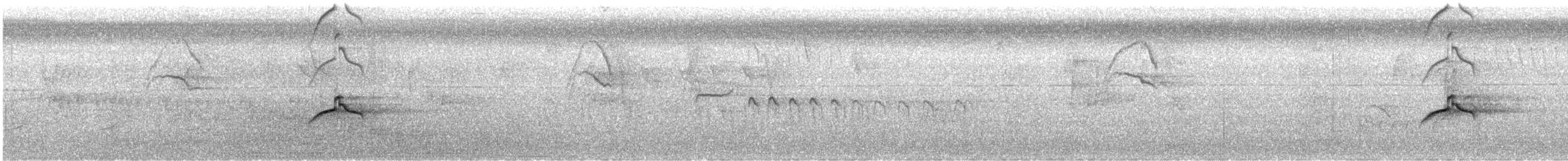 Piratic Flycatcher - ML640138126