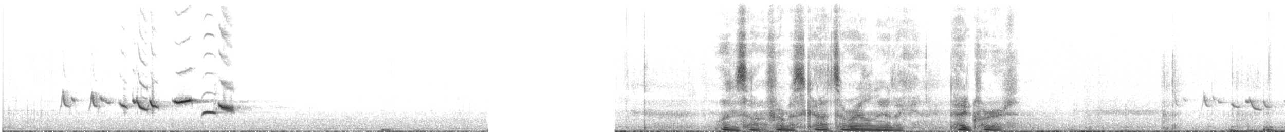 Scott's Oriole - ML640138135