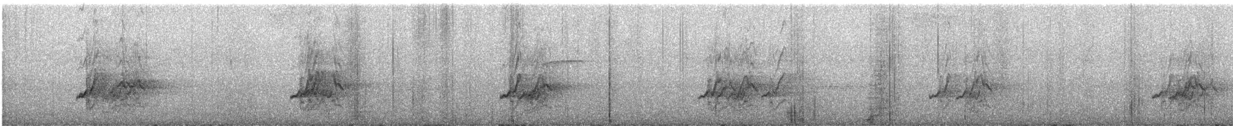 Barred Parakeet - ML640138262