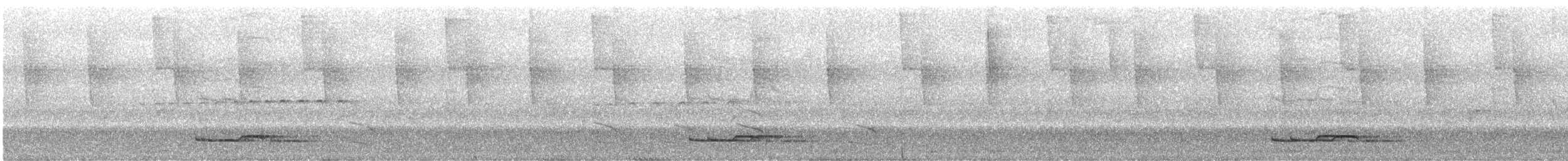 Long-tailed Manakin - ML640138724