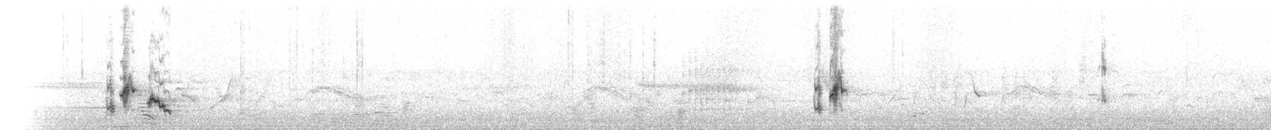 ホオジロヒヨドリ - ML640139452