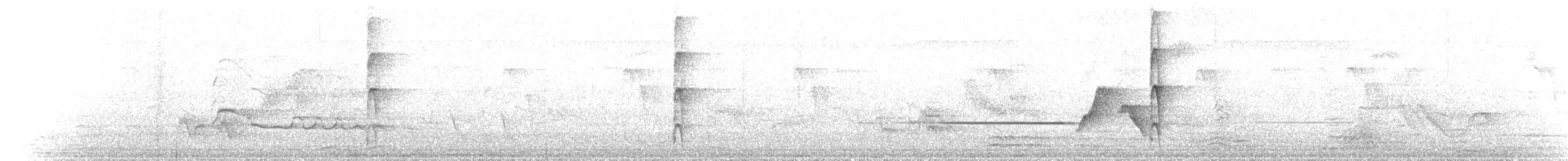 Brown-fronted Woodpecker - ML640139543