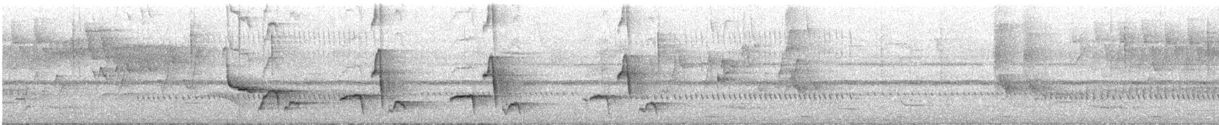 Troglodyte à calotte noire - ML640139772