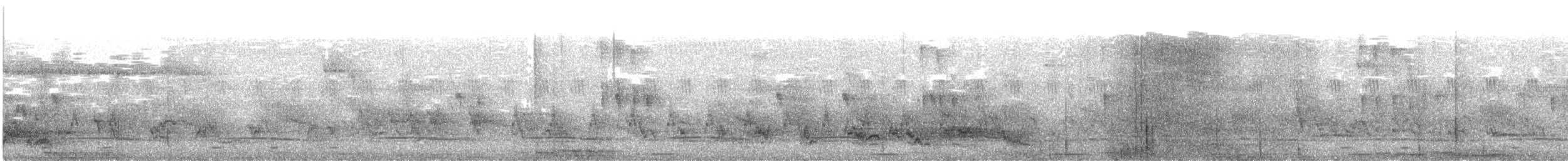 Barred Long-tailed Cuckoo - ML640141251