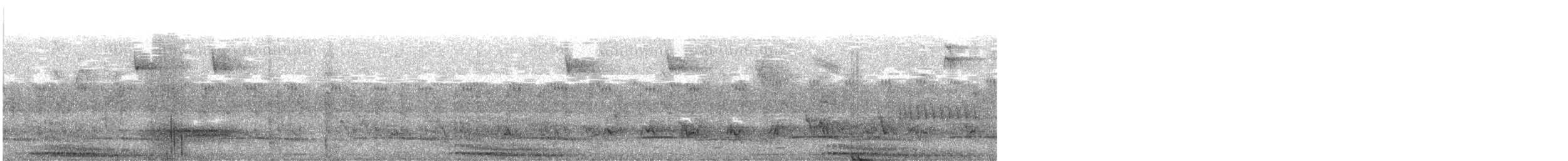 turako velký - ML640141906