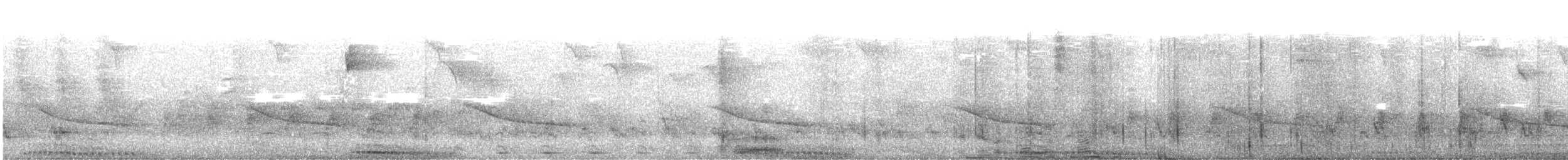 turako velký - ML640142056