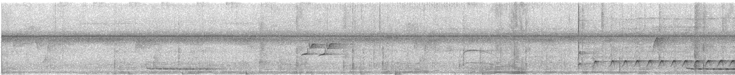Dull-capped Attila - ML640144470