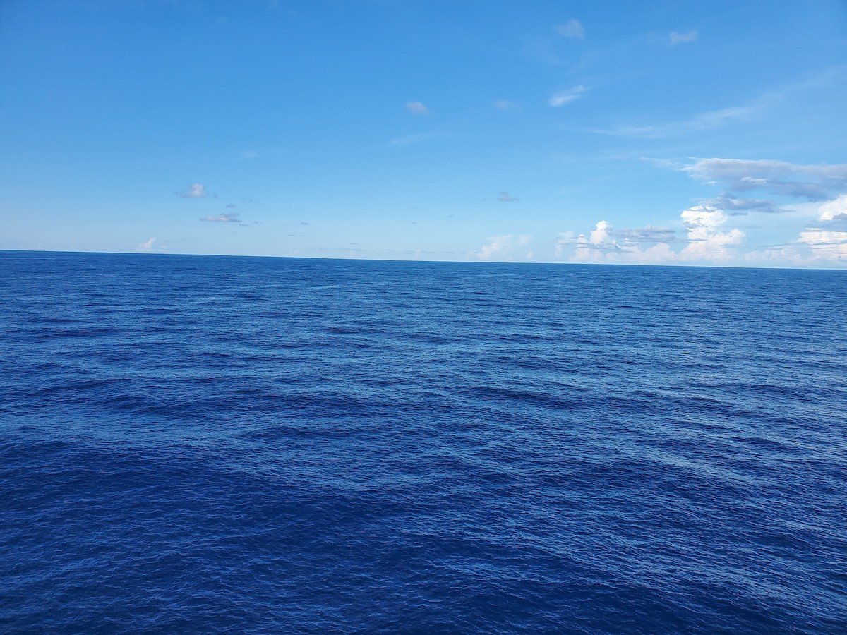 null - ML640144760