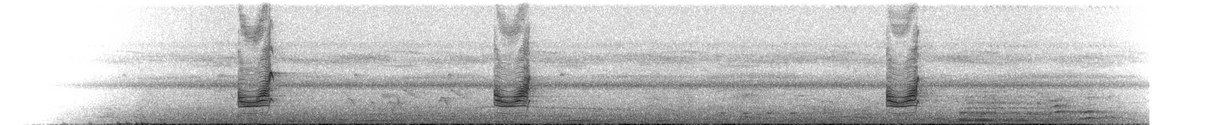 Fork-tailed Drongo - ML640144762