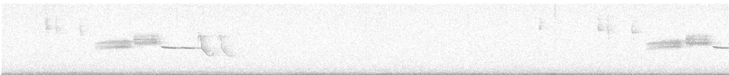 Black-throated Green Warbler - ML640145091