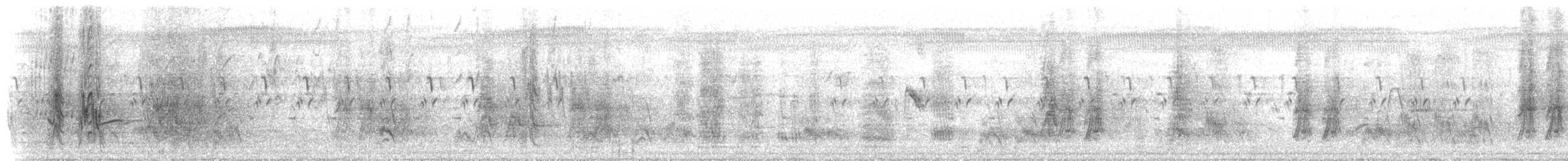 ハイイロハッカ - ML640146187