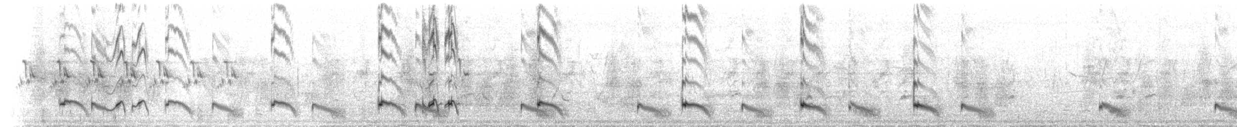 Pied Cuckoo - ML640146218