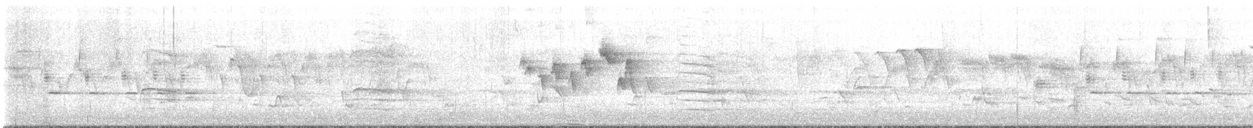 Magnolia Warbler - ML640146605
