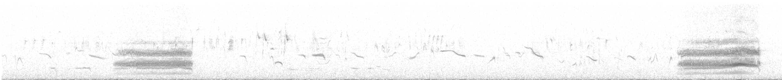 Iberian Magpie - ML640146909
