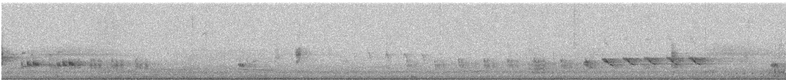 マミジロマネシツグミ - ML640147192