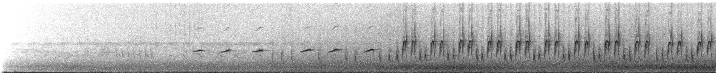 ウタイムシクイ - ML640147461