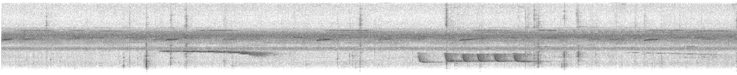 White-winged Becard - ML640147544