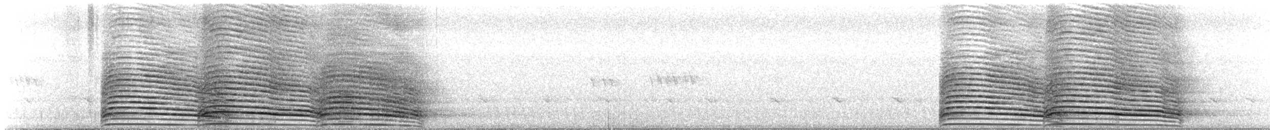 Hadada Ibis - ML640147600