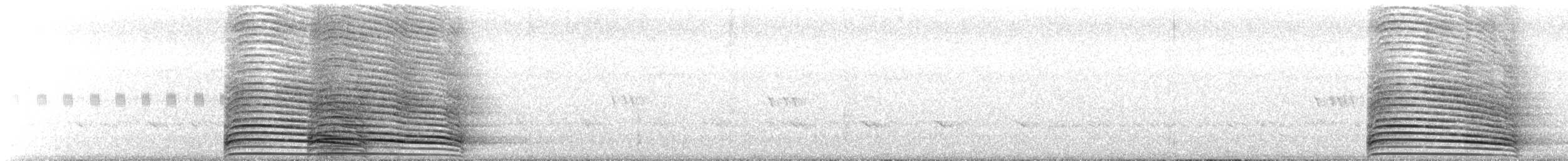 Hadada Ibis - ML640147602