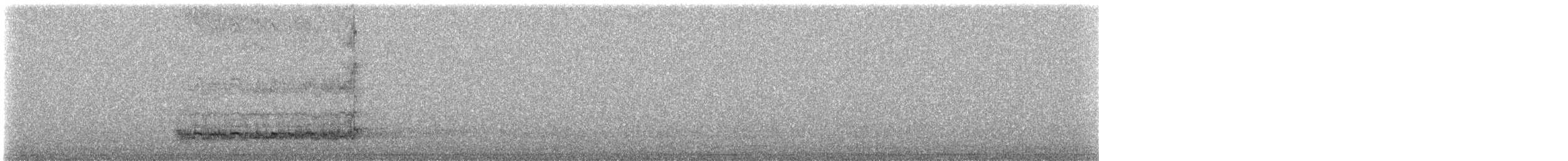 Western Barn Owl (Eurasian) - ML640148826