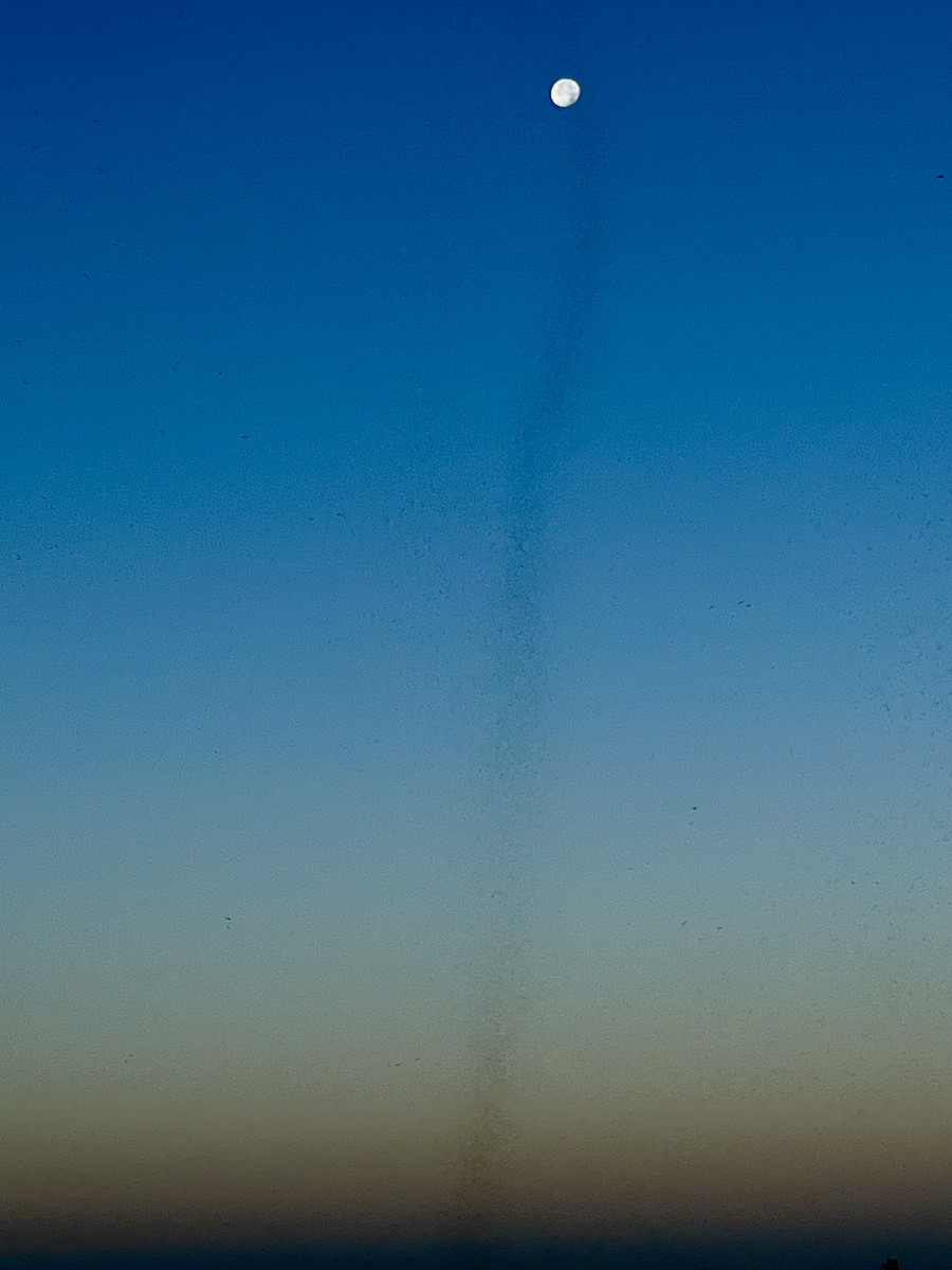 null - ML640154052