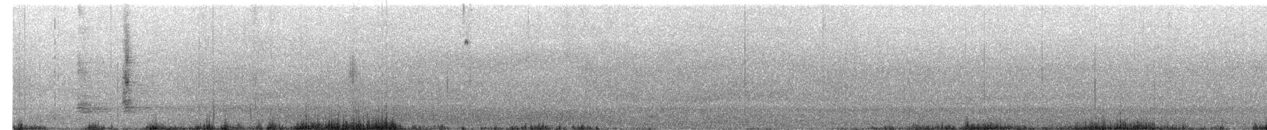 Ібіс білокрилий - ML640154289