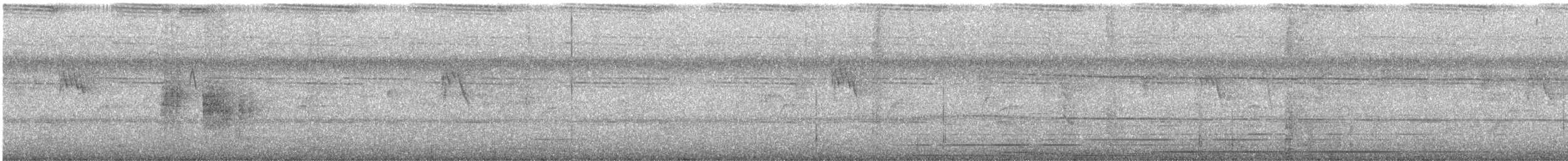 Pin-striped Tit-Babbler - ML640155910