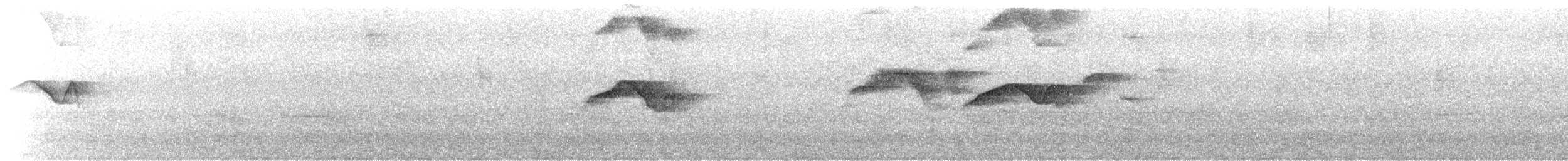 Double-toothed Kite - ML640156320