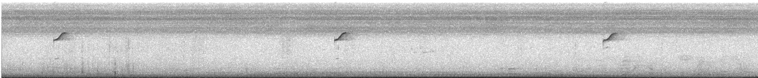 Western Flycatcher (Pacific-slope) - ML640156764