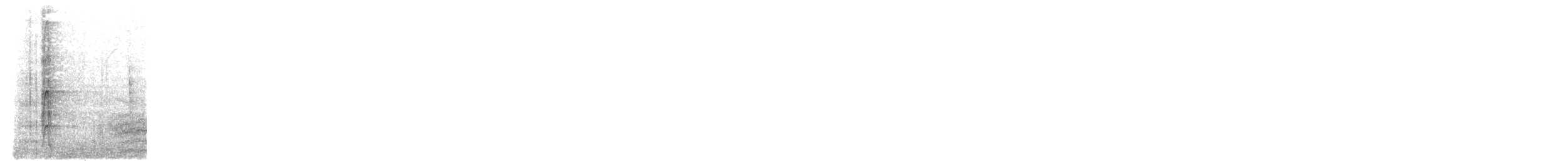 Mexican Squirrel-Cuckoo - ML640158157