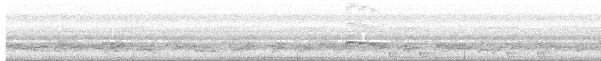 Little Bronze-Cuckoo - ML640159734