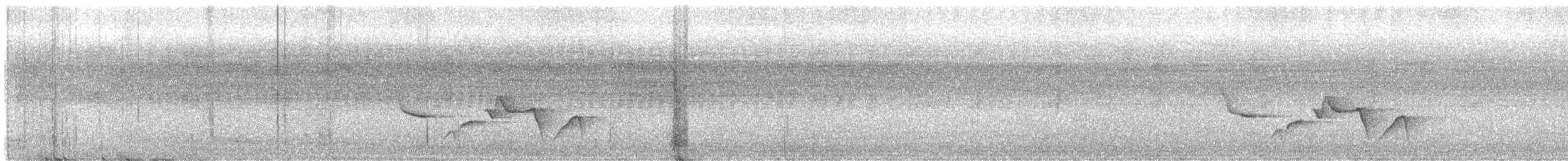 Troglodyte à poitrine tachetée - ML640161139