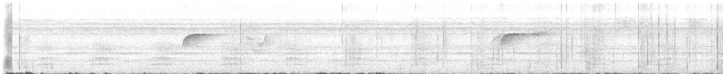 キメジロハエトリ - ML640162052