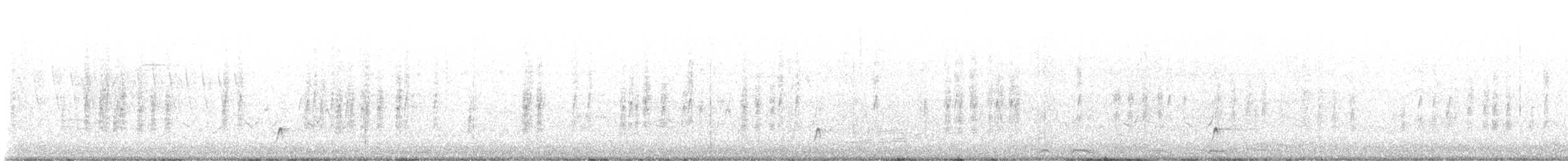 Brown-crested Flycatcher - ML640162414