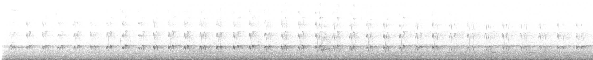 ústřičník dlouhozobý - ML640162623
