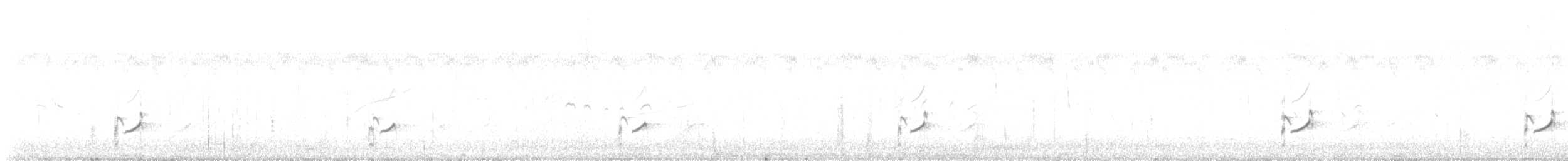 ツルシギ - ML640164440