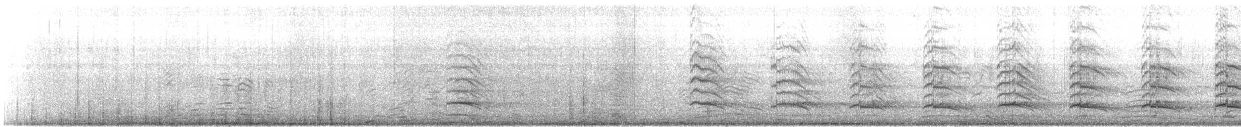 Andean Gull - ML640166240