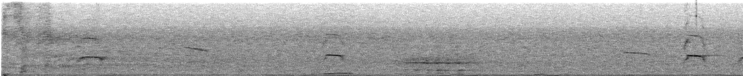 Eurasian Oystercatcher - ML640166637