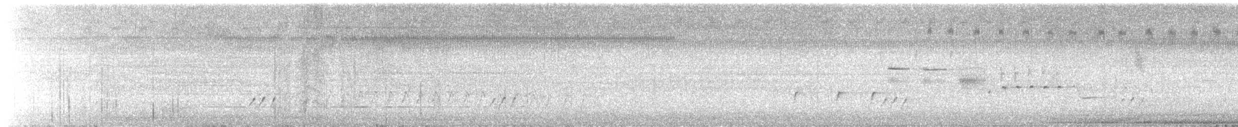 bartramie dlouhoocasá - ML640169071