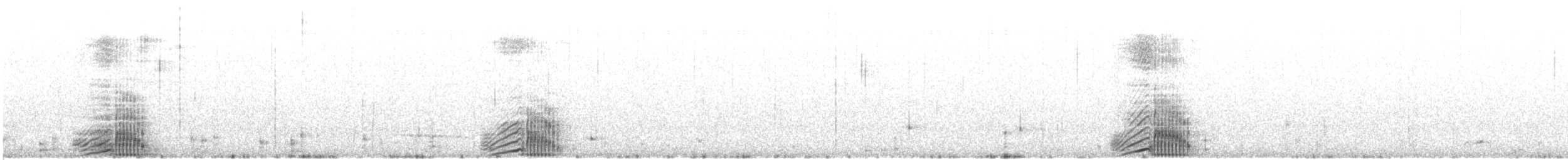 Cygne tuberculé - ML640169253