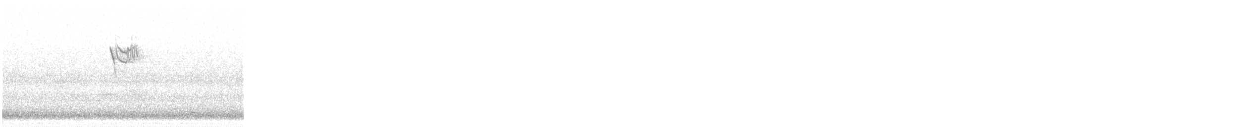 White-throated Sparrow - ML640169560