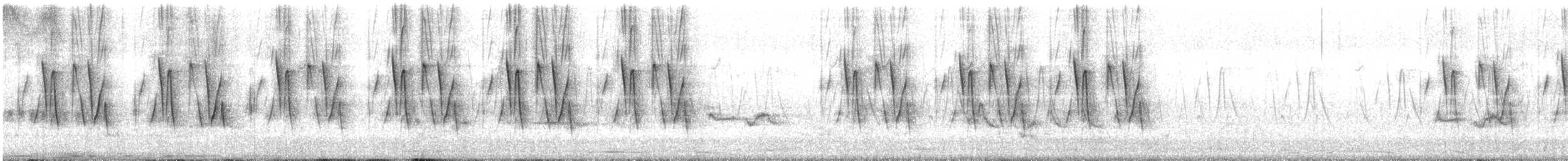 Jungle Prinia - ML640172567