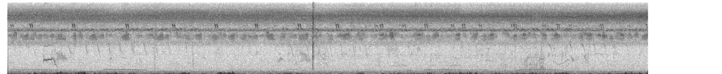 Pied Cuckoo - ML640172812