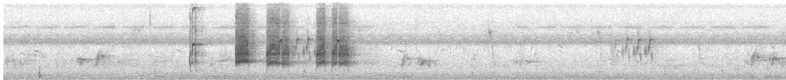 Black Francolin - ML640173715