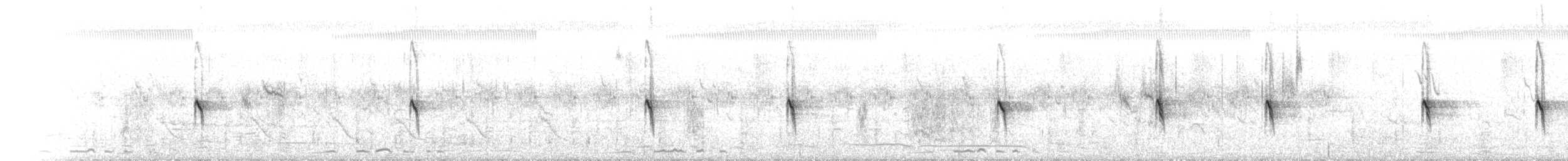 Bristled Grassbird - ML640175363